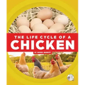The Life Cycle of a Chicken