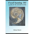 Fossil hunting 101: A guide for the absolute newbie