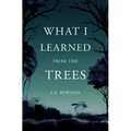 What I Learned from the Trees