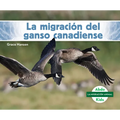 La Migración del Ganso Canadiense (Canada Goose Migration)