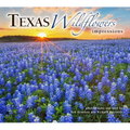 Texas Wildflowers Impressions