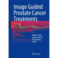 Image Guided Prostate Cancer Treatments