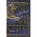 Password Keeper: Leo Constellation