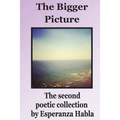 The Bigger Picture: the second poetic collection