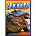 Alligators