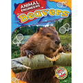 Beavers