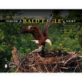 Inside a Bald Eagle's Nest: A Photographic Journey Through the American Bald Eagle Nesting Season