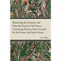 Illustrating the Anatomy and Muscular System of the Horse - Containing Extracts from Livestock for the Farmer and Stock Owner