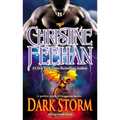 Dark Storm