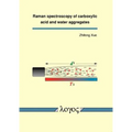 Raman Spectroscopy of Carboxylic Acid and Water Aggregates