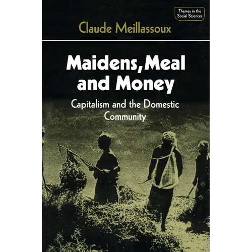 Maidens, Meal, and Money: Capitalism and the Domestic Community - Paperback
