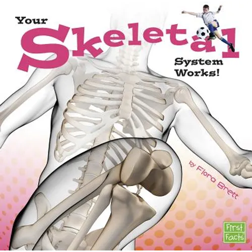 Your Skeletal System Works!