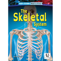 The Skeletal System