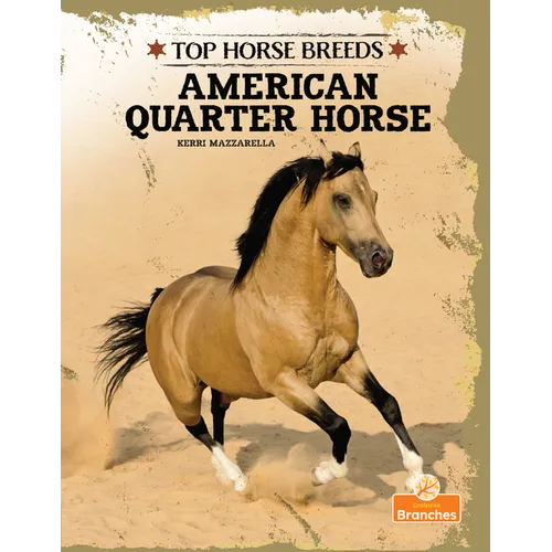 American Quarter Horse