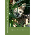 Exotic Cat Care guide: African Serval Cat care