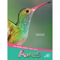 Aves: Birds