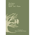 The Space Between Spark and Flame
