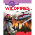 Wildfires