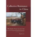 Collective Resistance in China: Why Popular Protests Succeed or Fail