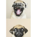 My Friends Book