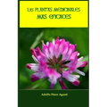 Las plantas medicinales más eficaces