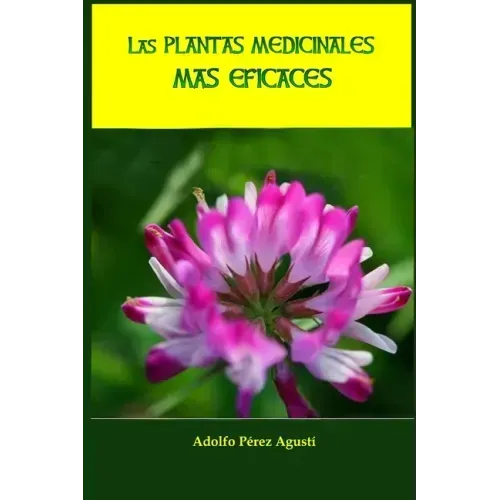 Las plantas medicinales más eficaces