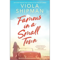 Famous in a Small Town: The Perfect Summer Read