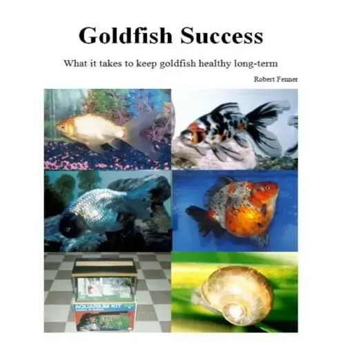 Goldfish Success: What it takes to keep goldfish healthy long-term