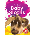 Baby Sloths