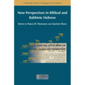 New Perspectives in Biblical and Rabbinic Hebrew