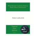 What Roman Catholics Need to Know about Protestants