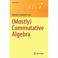 (Mostly) Commutative Algebra