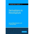 Derivations in Minimalism