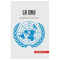 La ONU: Una organización en el punto de mira