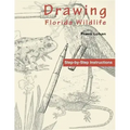 Drawing Florida Wildlife