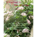 If You Plant It, They Will Come