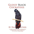 Glossy Black Cockatoos