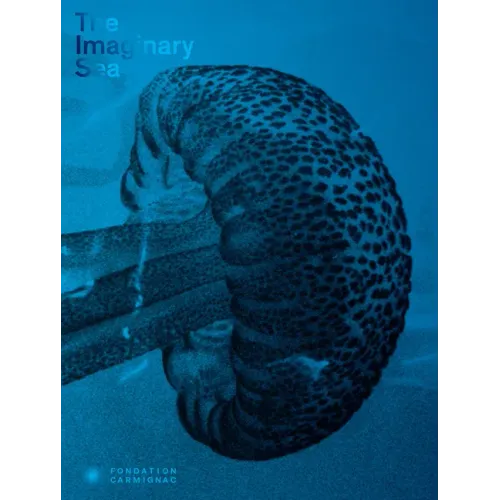 The Imaginary Sea