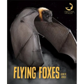 Flying Foxes
