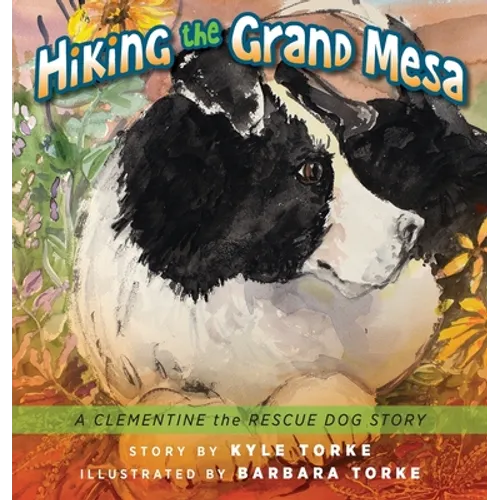 Hiking the Grand Mesa: A Clementine the Rescue Dog Story