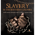 Slavery in the Southern Colonies North American Colonization Grade 3 Children's American History