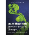 Transdiagnostic Emotion-Focused Therapy: A Clinical Guide for Transforming Emotional Pain