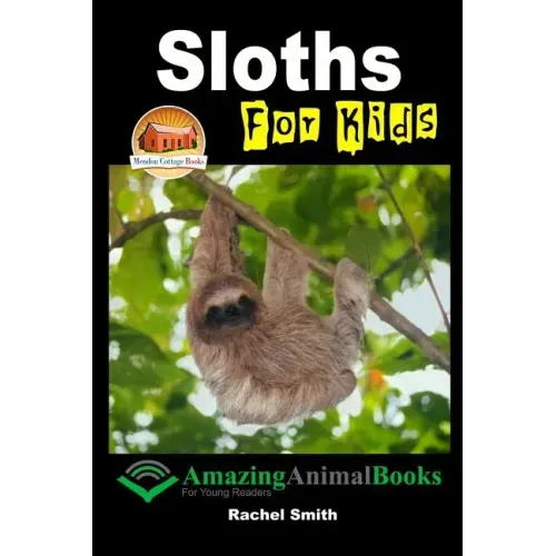 Sloths For Kids