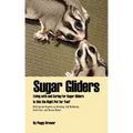Sugar Gliders: Living with and Caring for Sugar Gliders Is This the Right Pet for You?