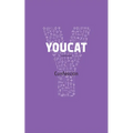 Youcat Confession