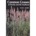 Common Grasses of Florida & The Southeast