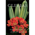 Clivias