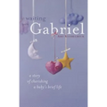 Waiting with Gabriel: A Story of Cherishing a Baby's Brief Life