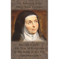 St. Teresa of Avila Three Book Treasury - Interior Castle, The Way of Perfection, and The Book of Her Life (Autobiography)