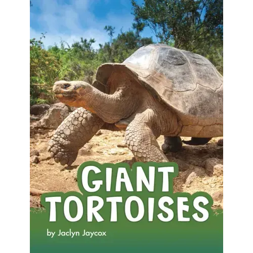 Giant Tortoises